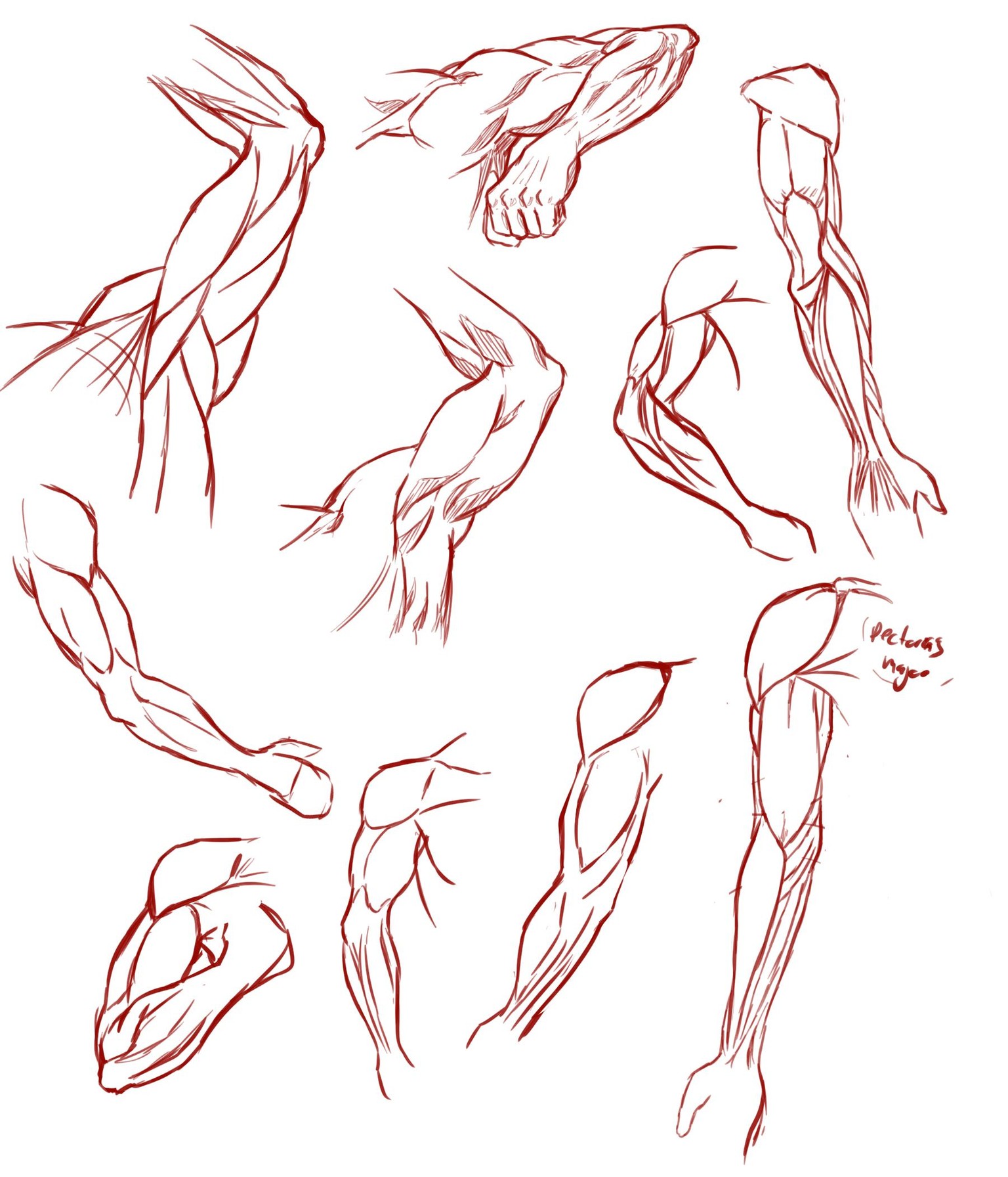 Arms! - image 1 - student project