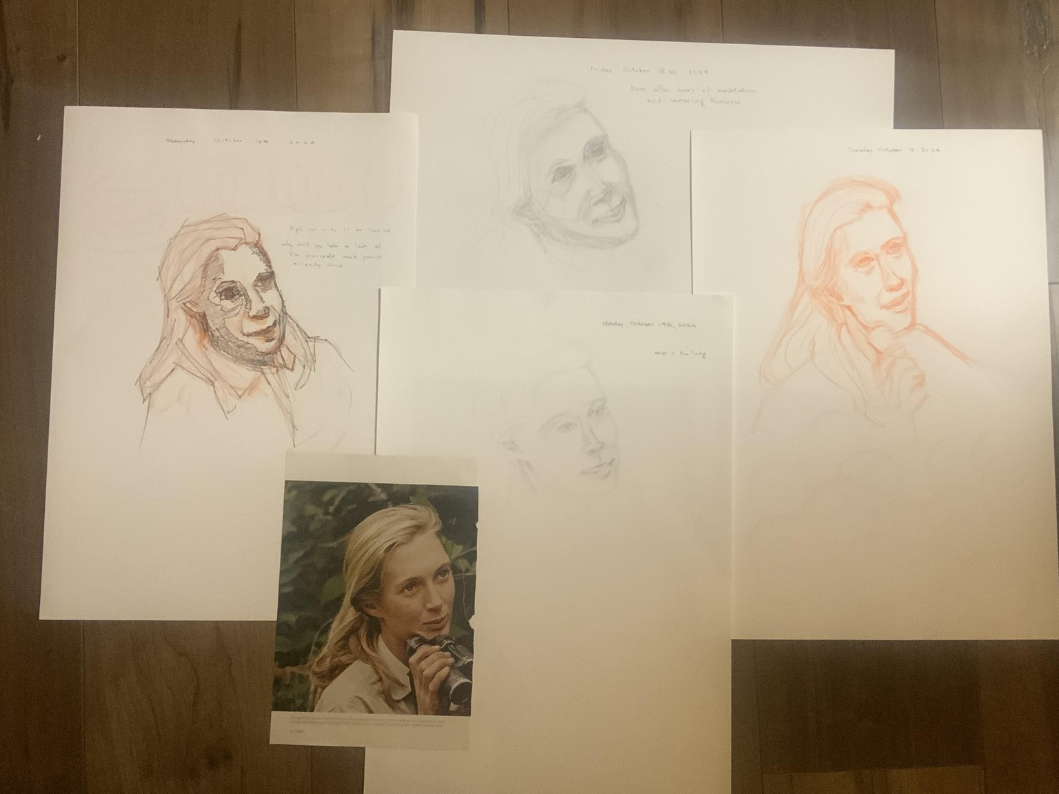 Chimp Research - image 2 - student project