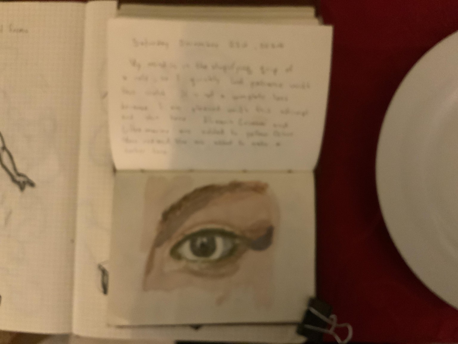 Eyes for the holidays - image 8 - student project