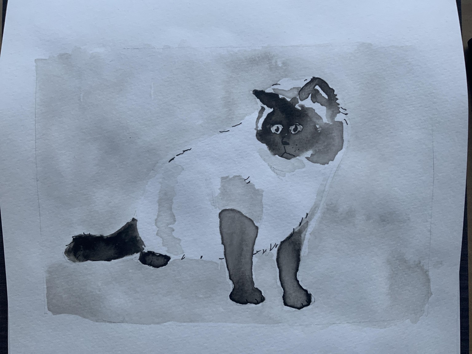 Ink that cat - image 1 - student project