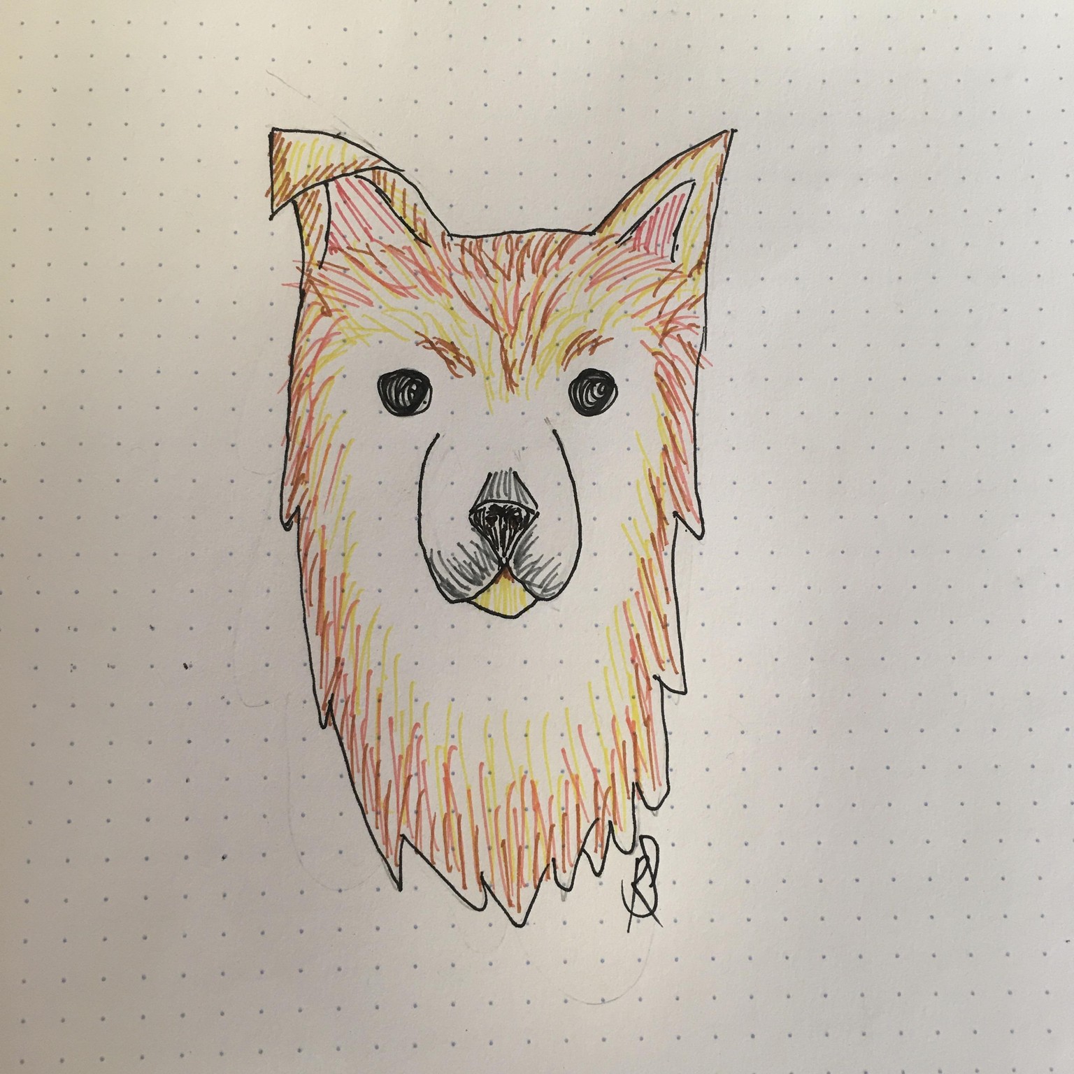 My Frankie - image 2 - student project