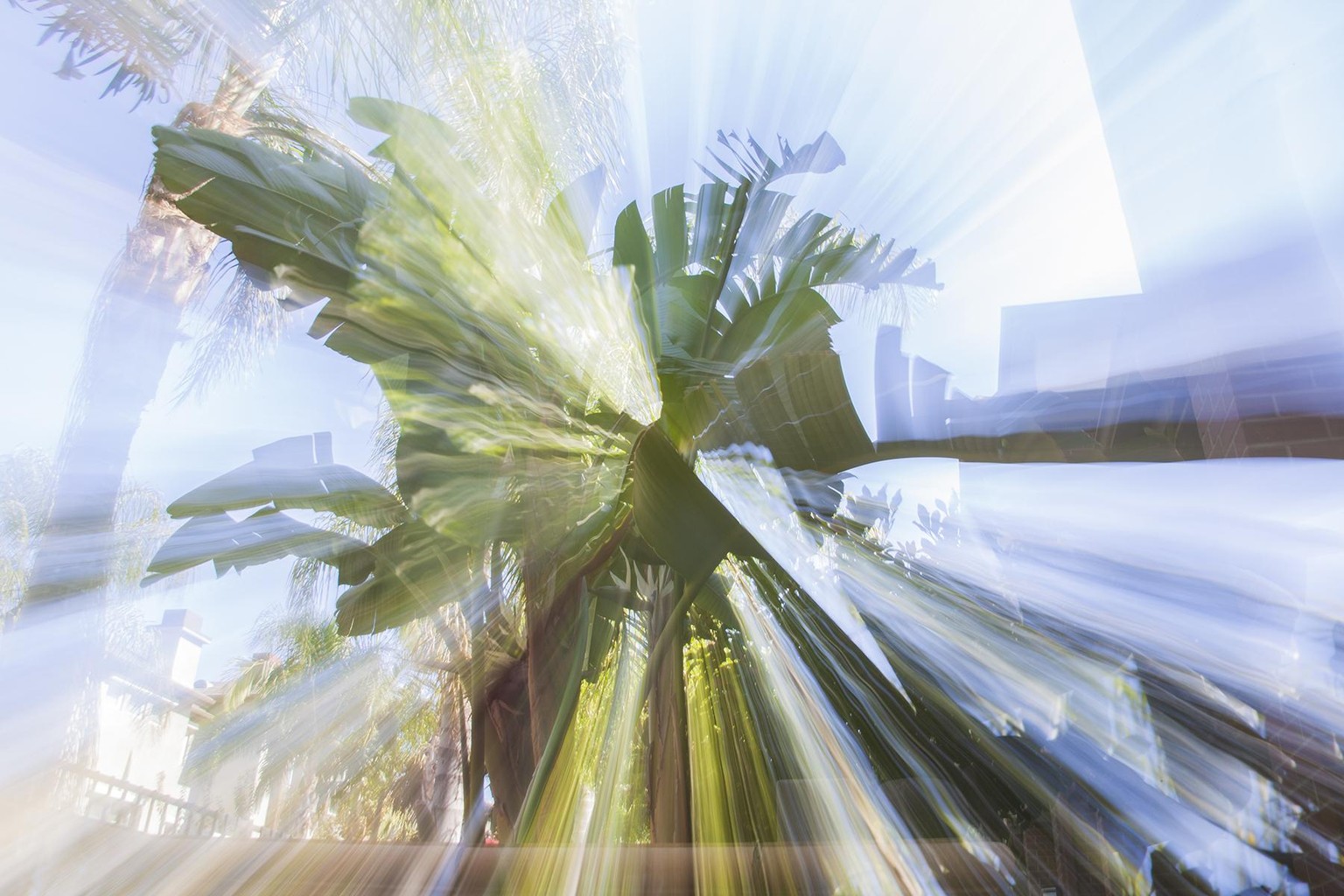 Zoom-Burst Photo - image 2 - student project