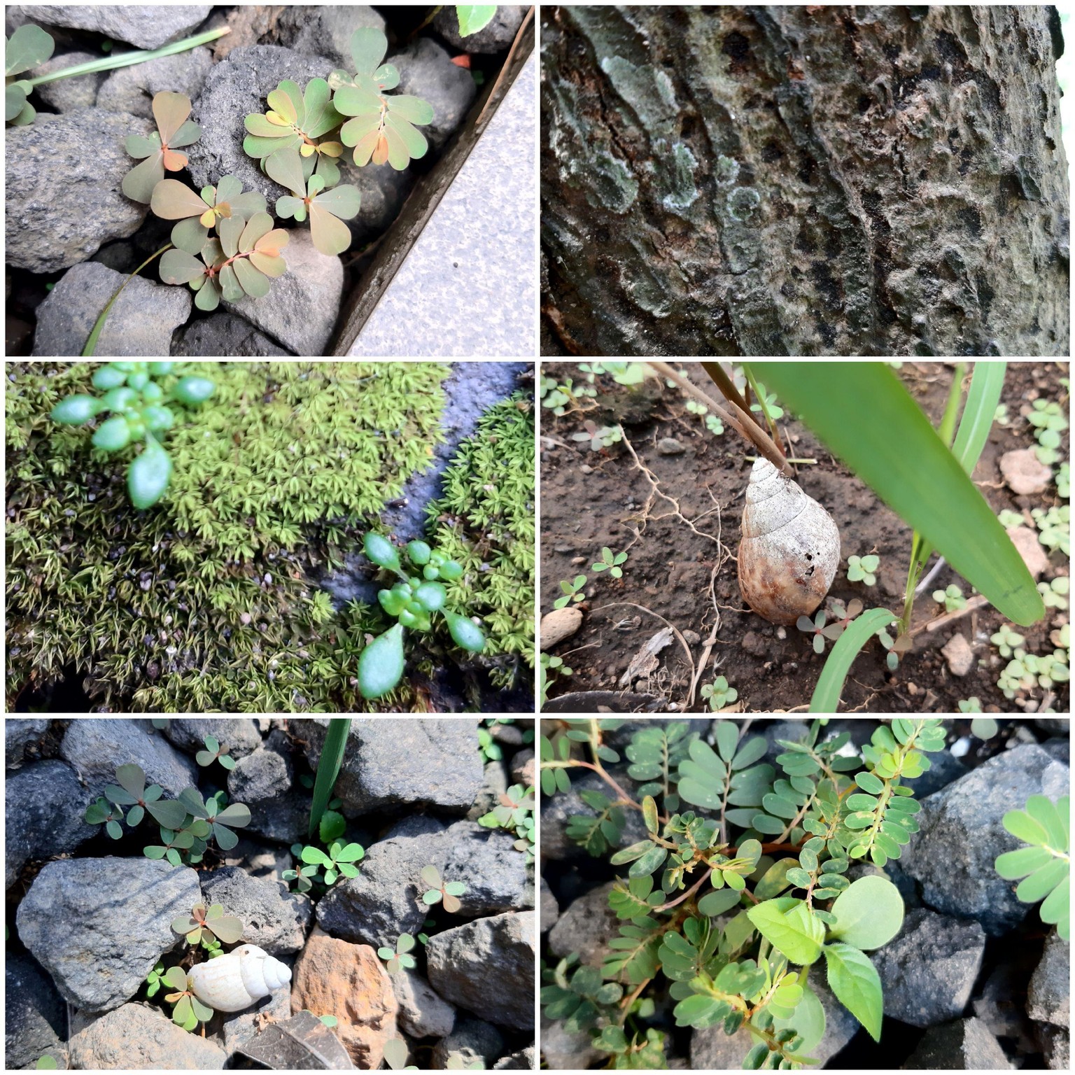 Day 1, 2, 3, 4, 5, 6 and 7 - image 2 - student project