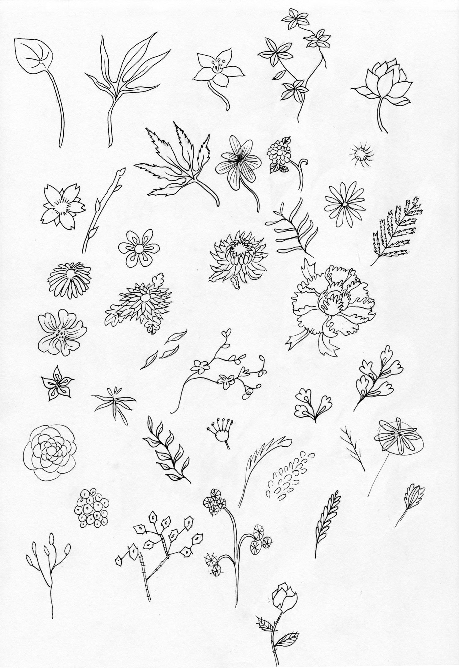 Florals - image 1 - student project