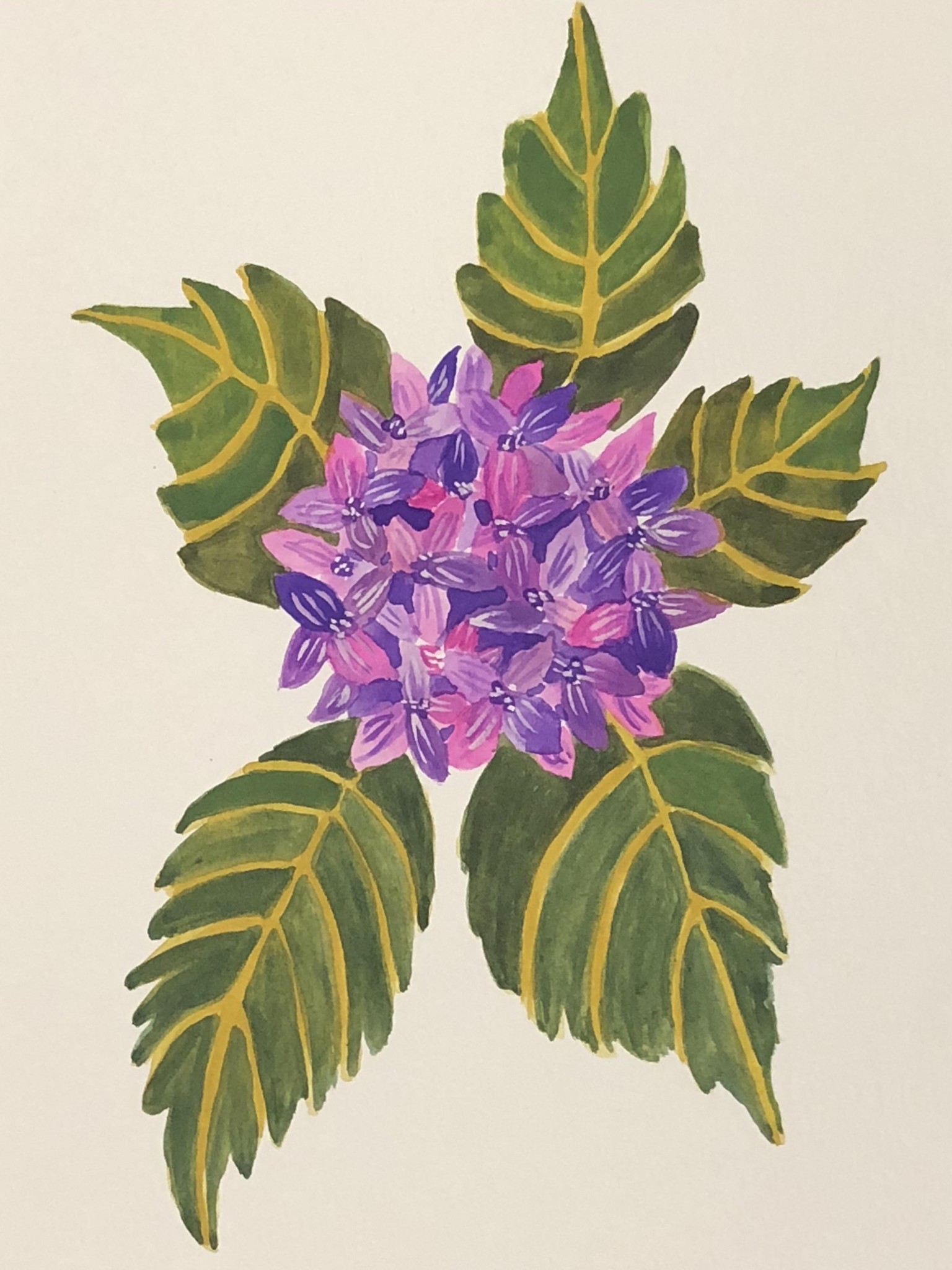 Purple Hydrangea - image 1 - student project