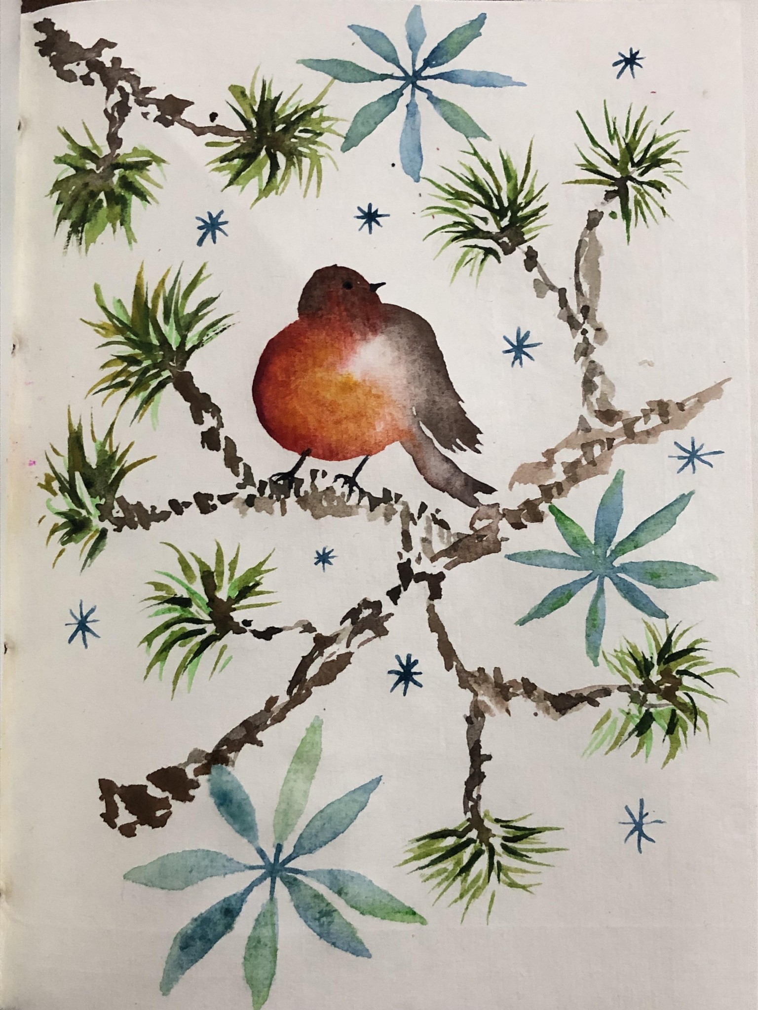 Petirrojo/Rouge-Gorge/European Robin - image 1 - student project