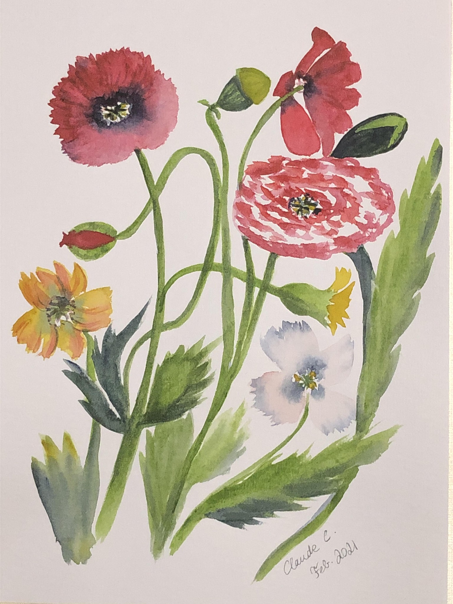 Poppies - image 1 - student project