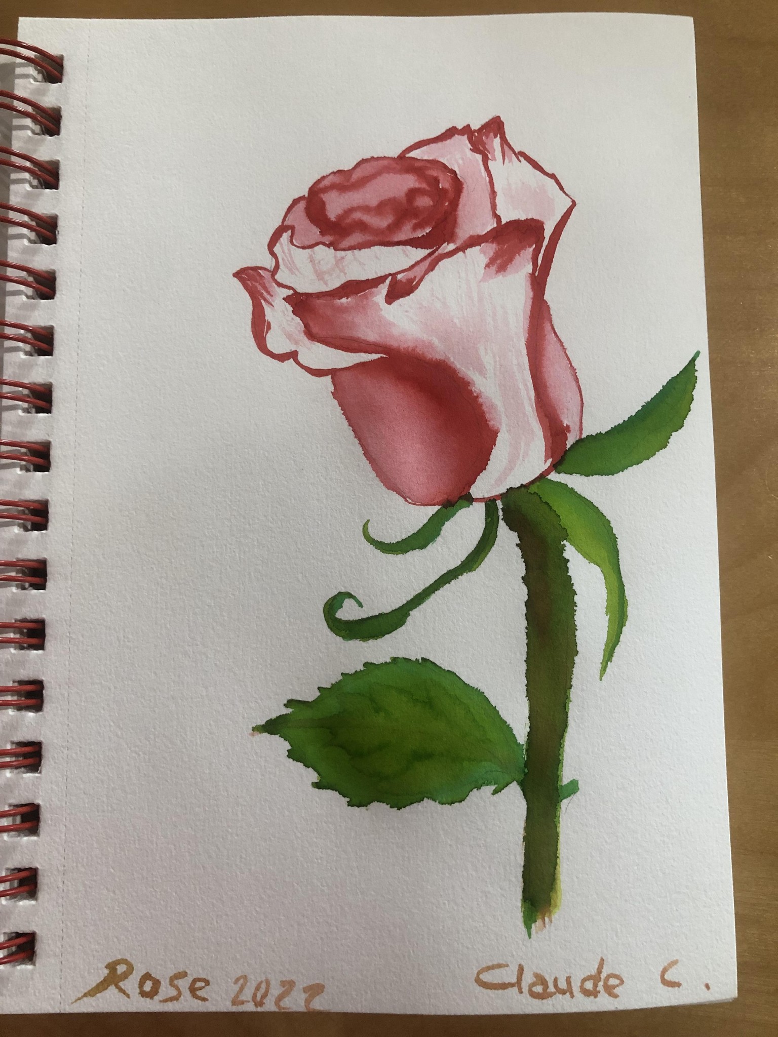Quick Loose Watercolor Sketches and Highlights - image 1 - student project