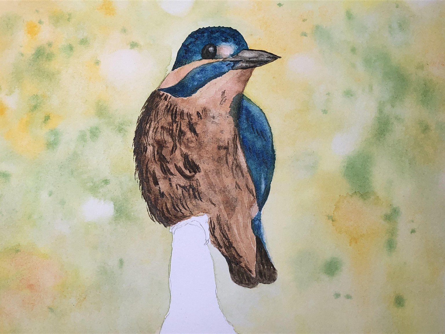 WIP Watercolor Kingfisher - image 1 - student project