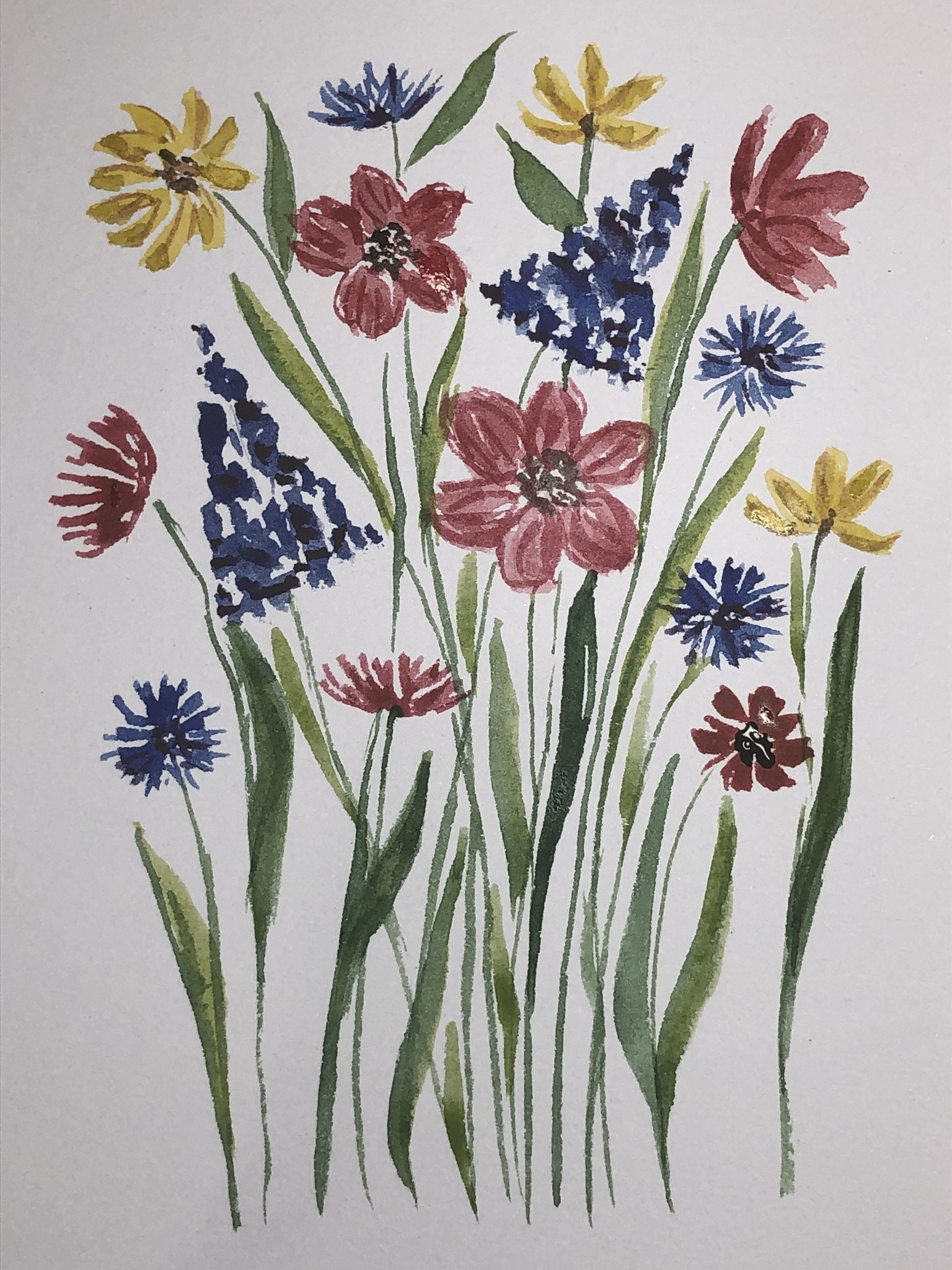 Meadow Wildflowers - image 1 - student project