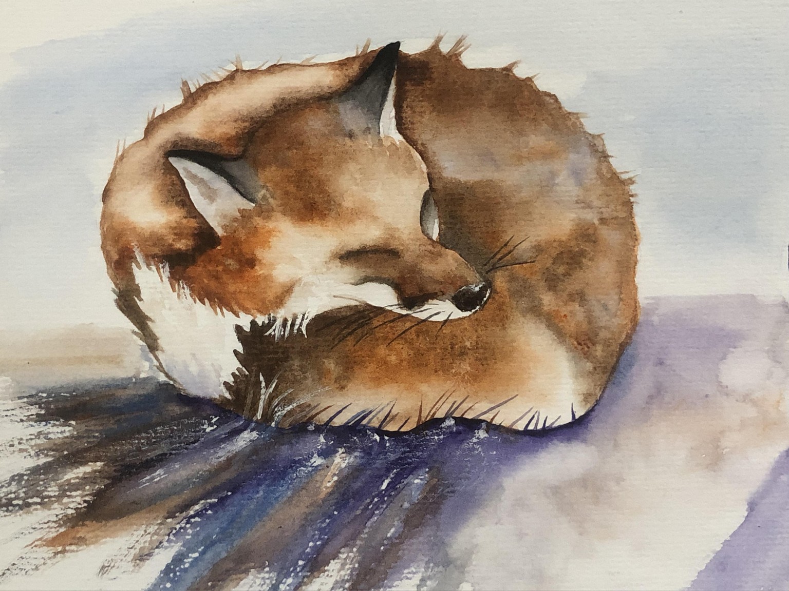 Sleeping free-flowing watercolor fox - image 1 - student project