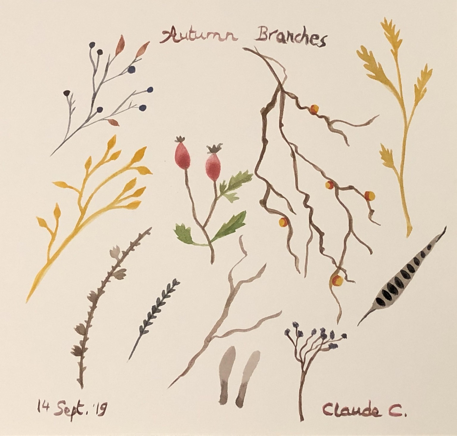 Autumn Flowers, Leaves and Branches - image 3 - student project