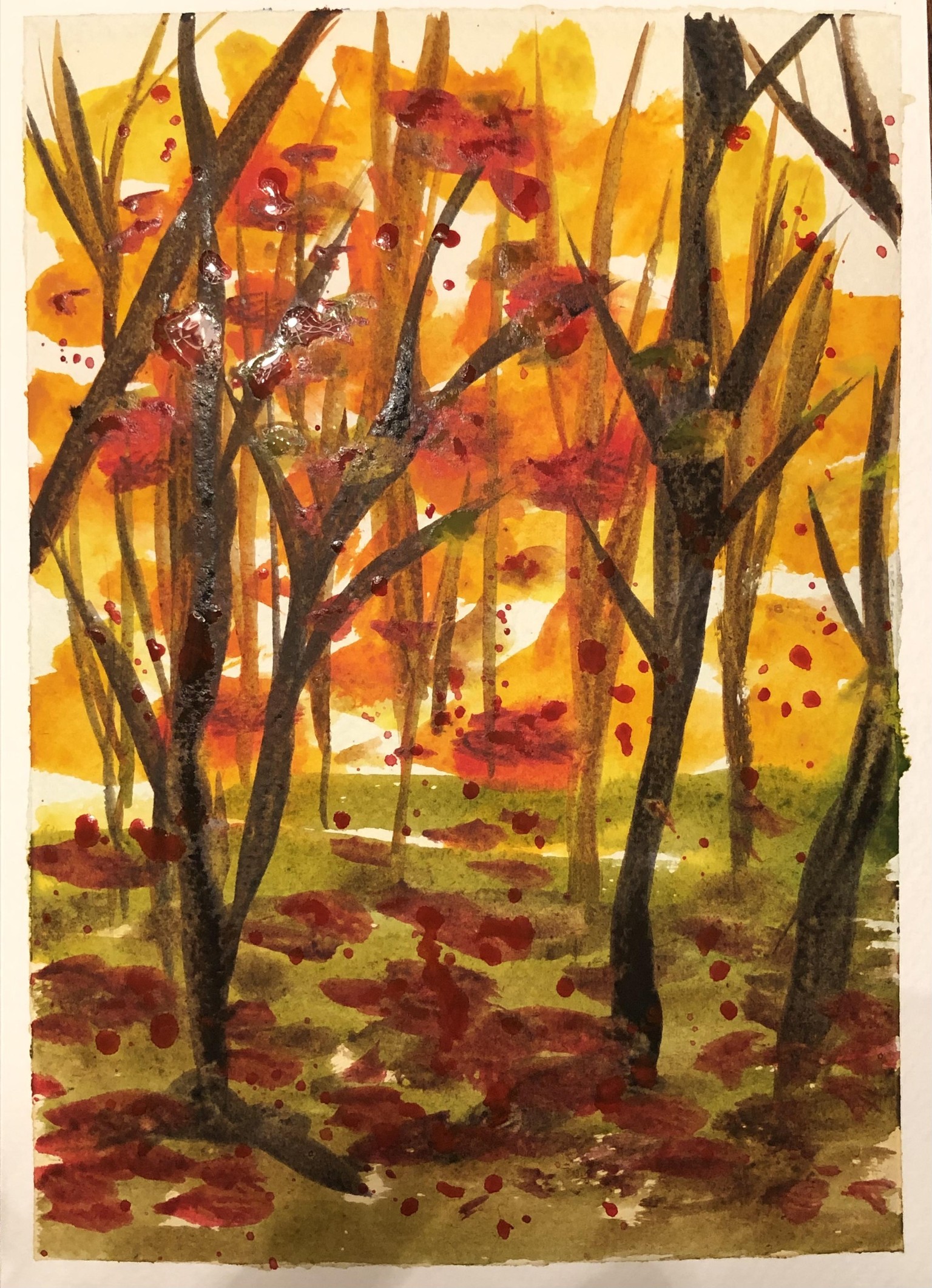 Landscapes - image 3 - student project