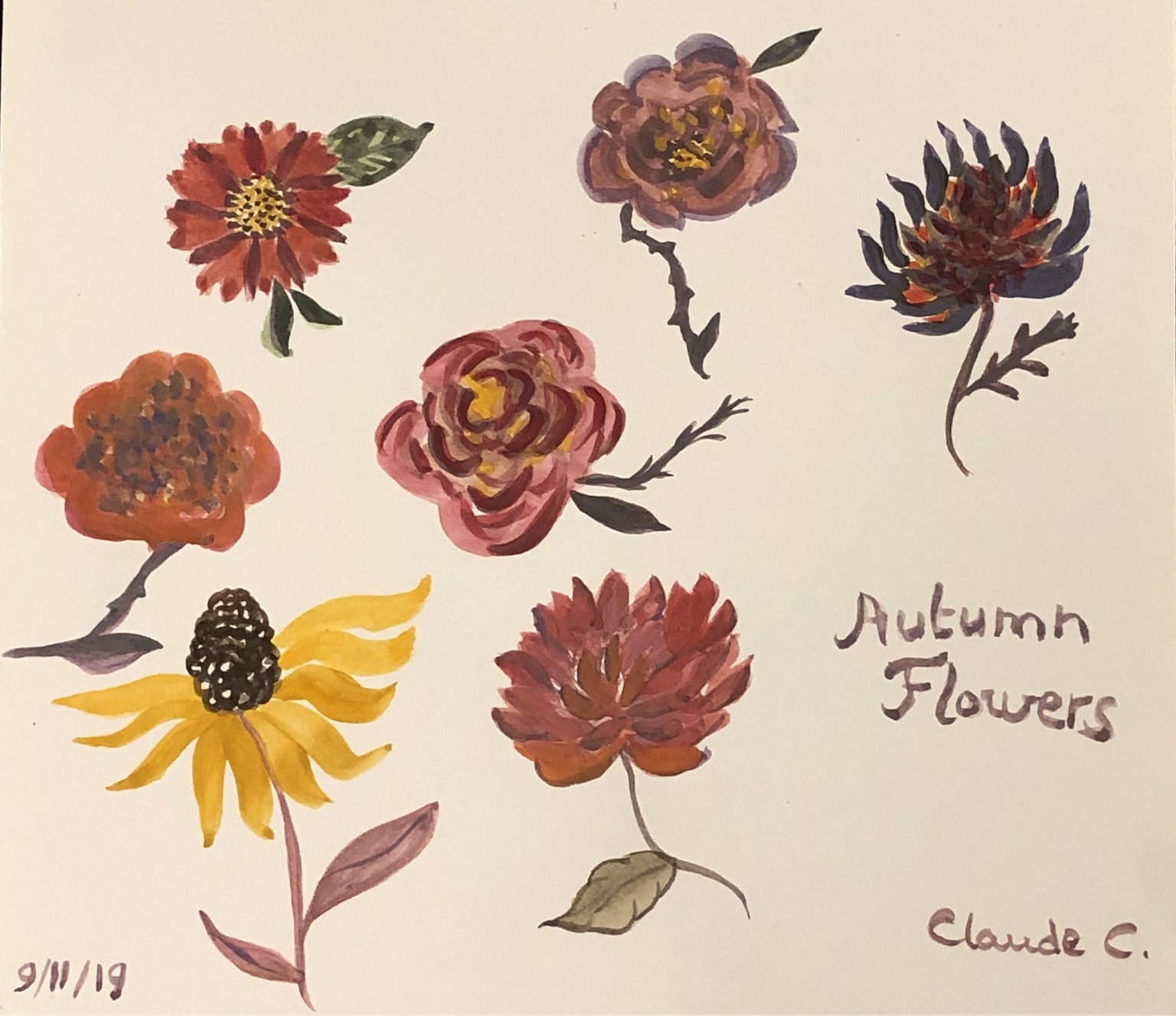 Autumn Flowers, Leaves and Branches - image 1 - student project