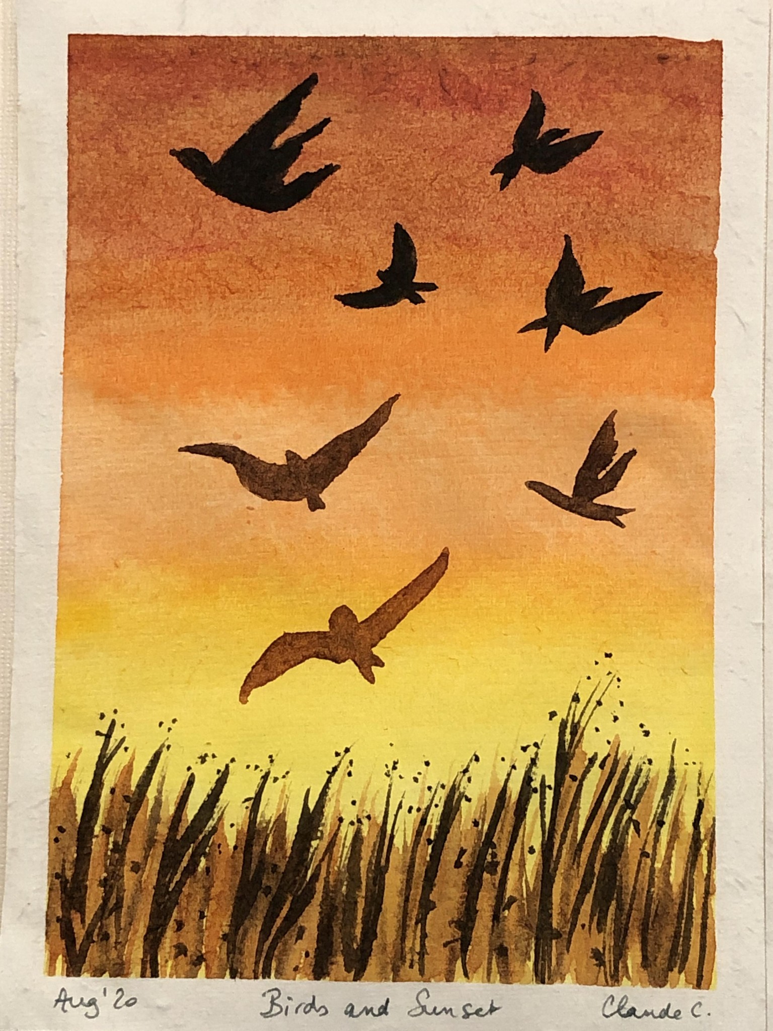 Birds! - image 2 - student project