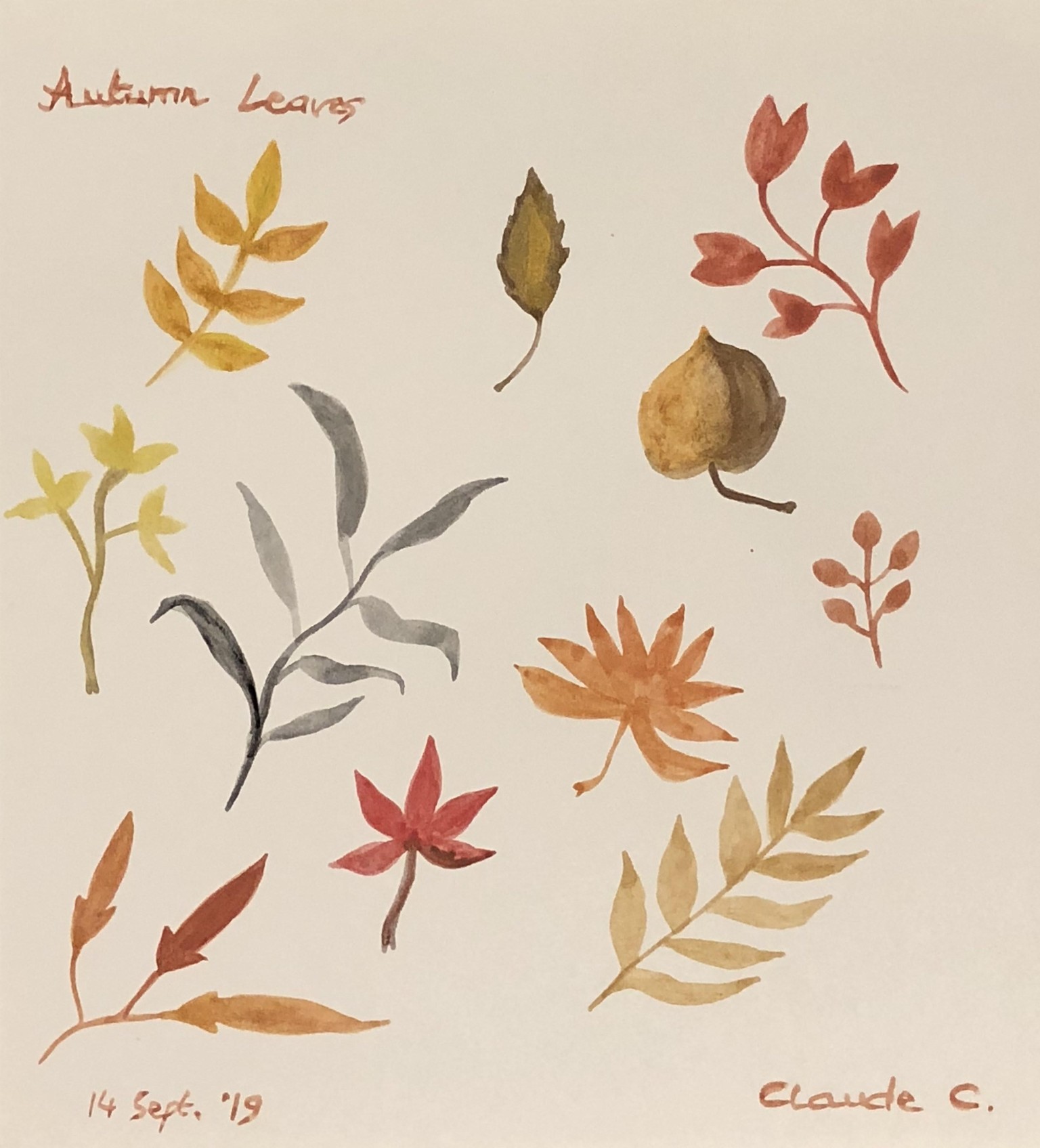 Autumn Flowers, Leaves and Branches - image 2 - student project