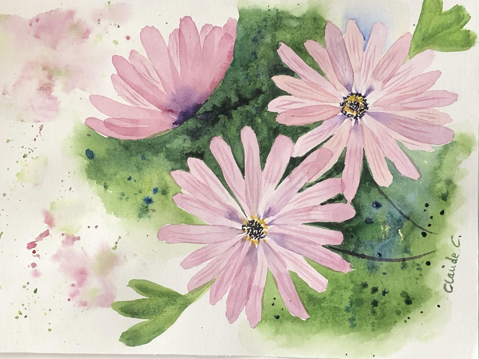 Translucent African Daisies - image 1 - student project