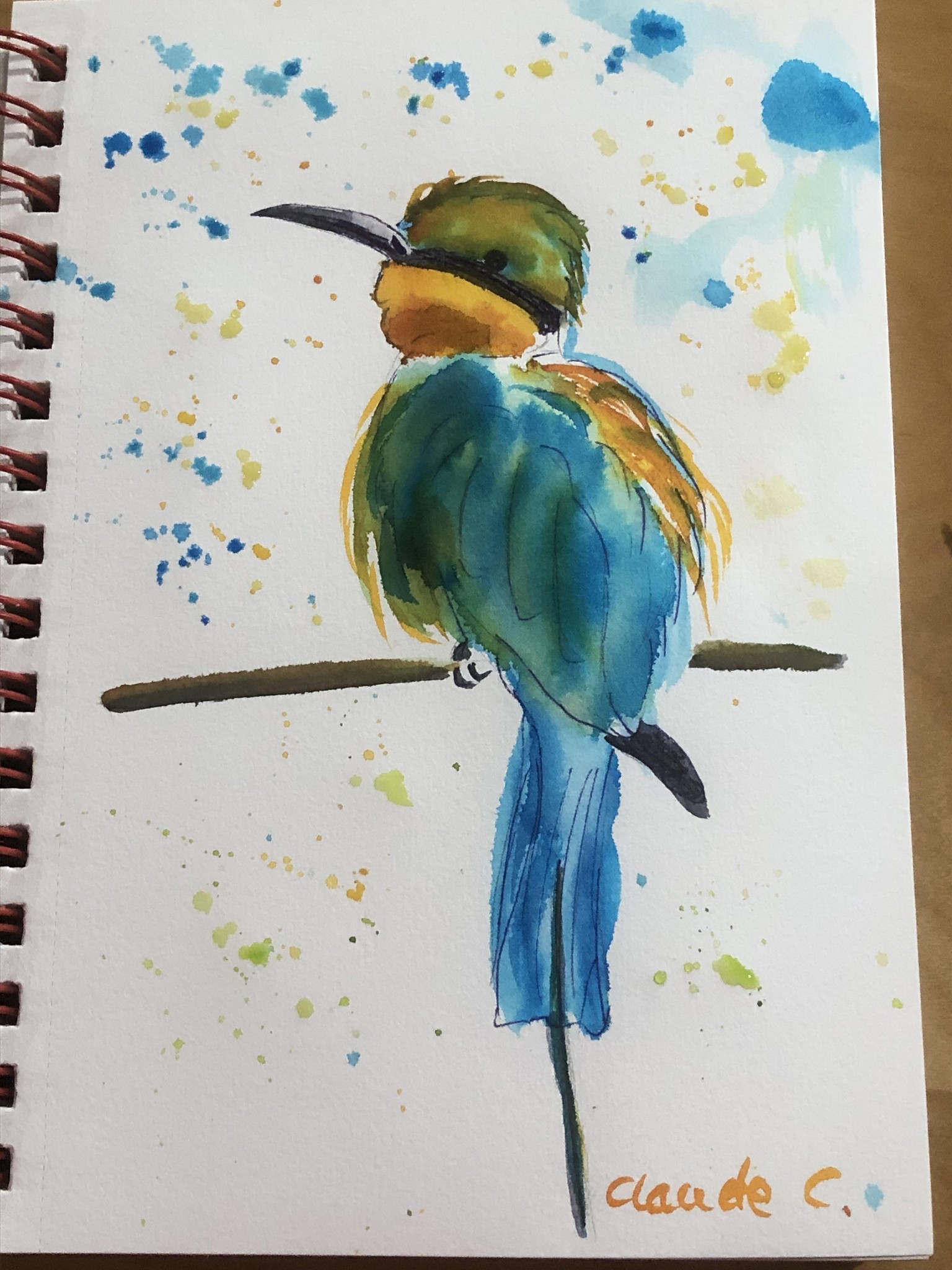 Quick Loose Watercolor Sketches and Highlights - image 2 - student project