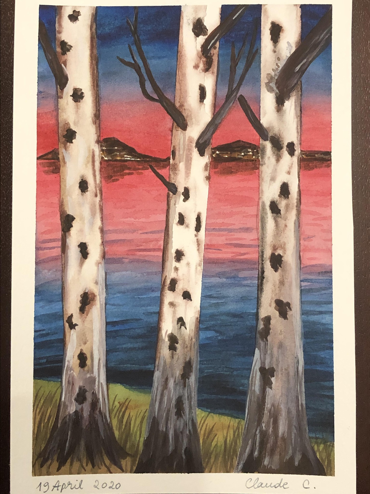 Sunset Riverside Birch Trees - image 1 - student project