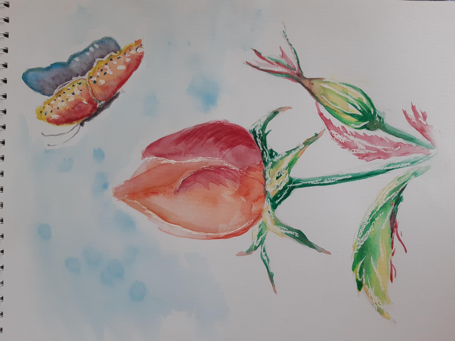 Watercolor Special Effects class projects - image 2 - student project