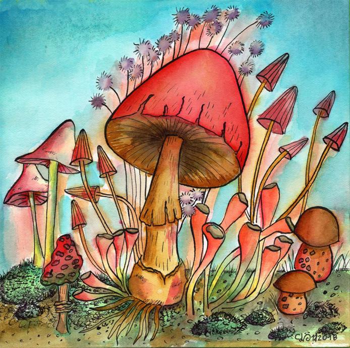 Mushrooms with Watercolors and Ink - image 1 - student project
