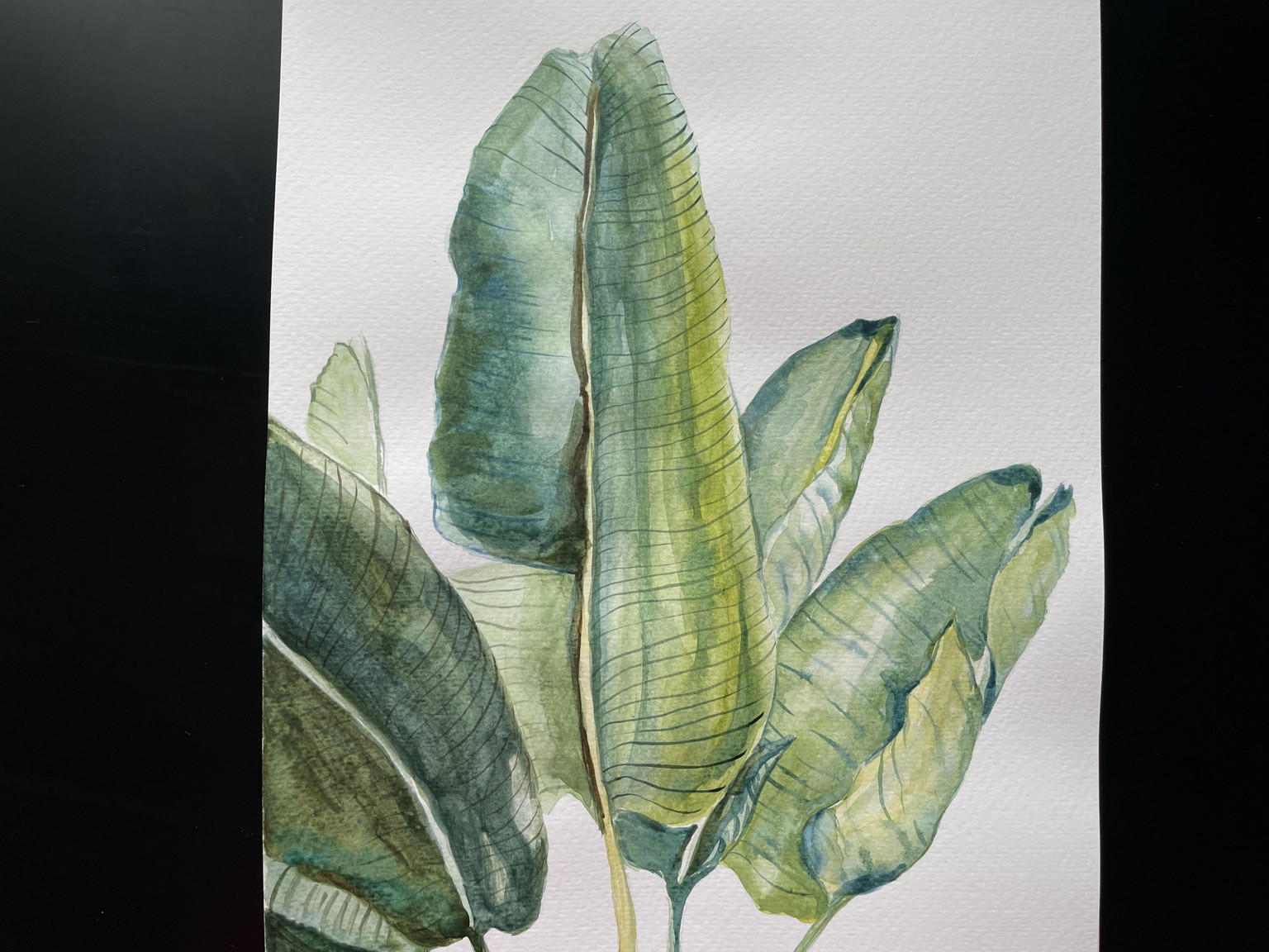 Watercolor greens - image 3 - student project