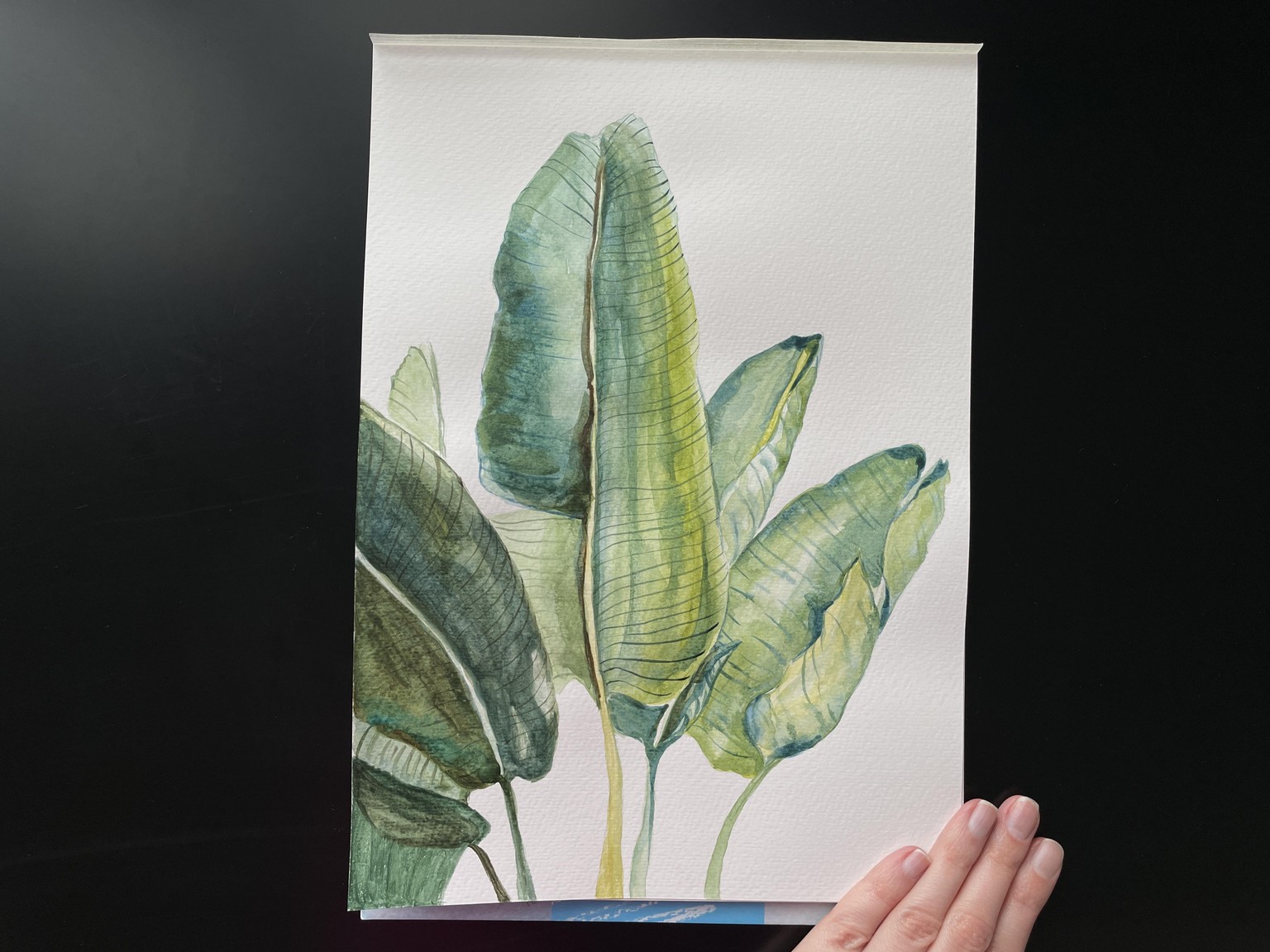 Watercolor greens - image 1 - student project