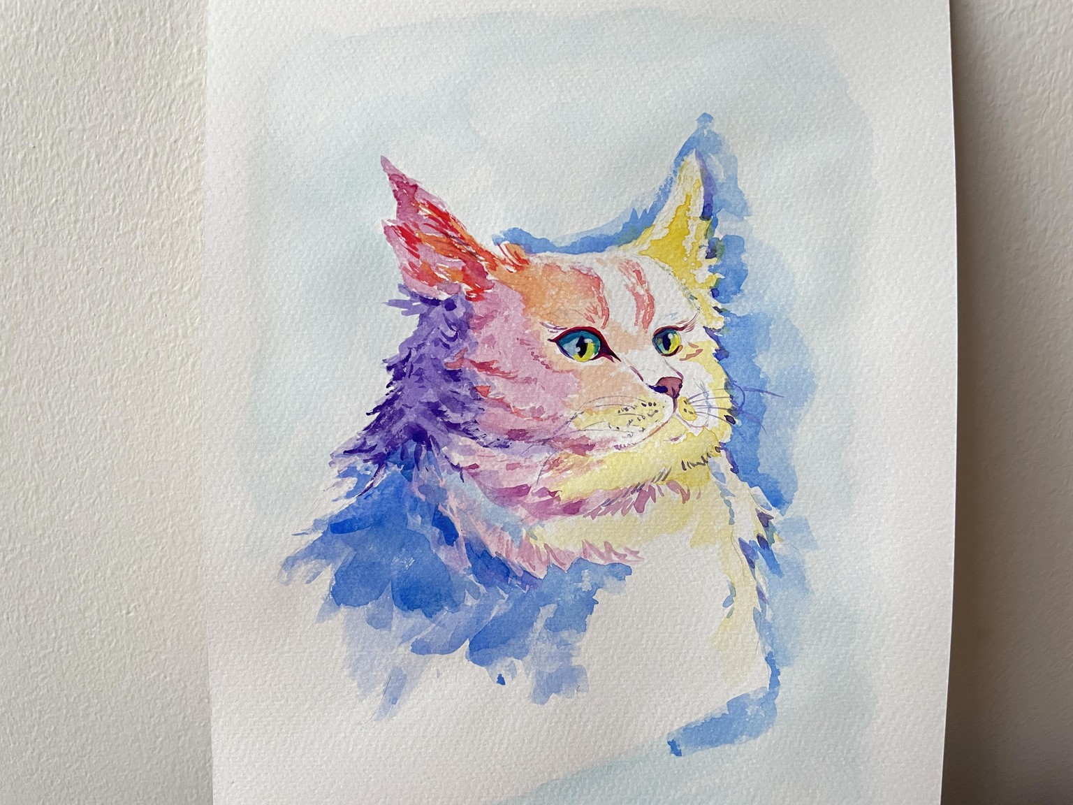 Colourful cat - image 2 - student project