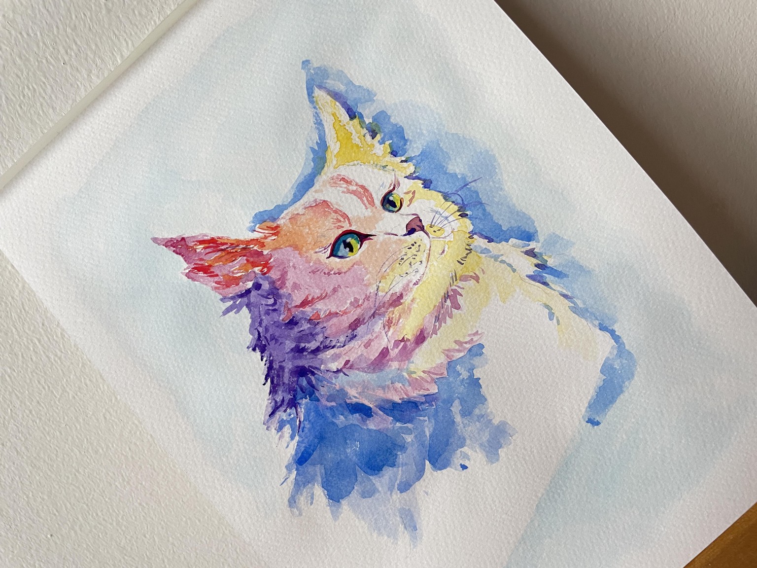 Colourful cat - image 3 - student project