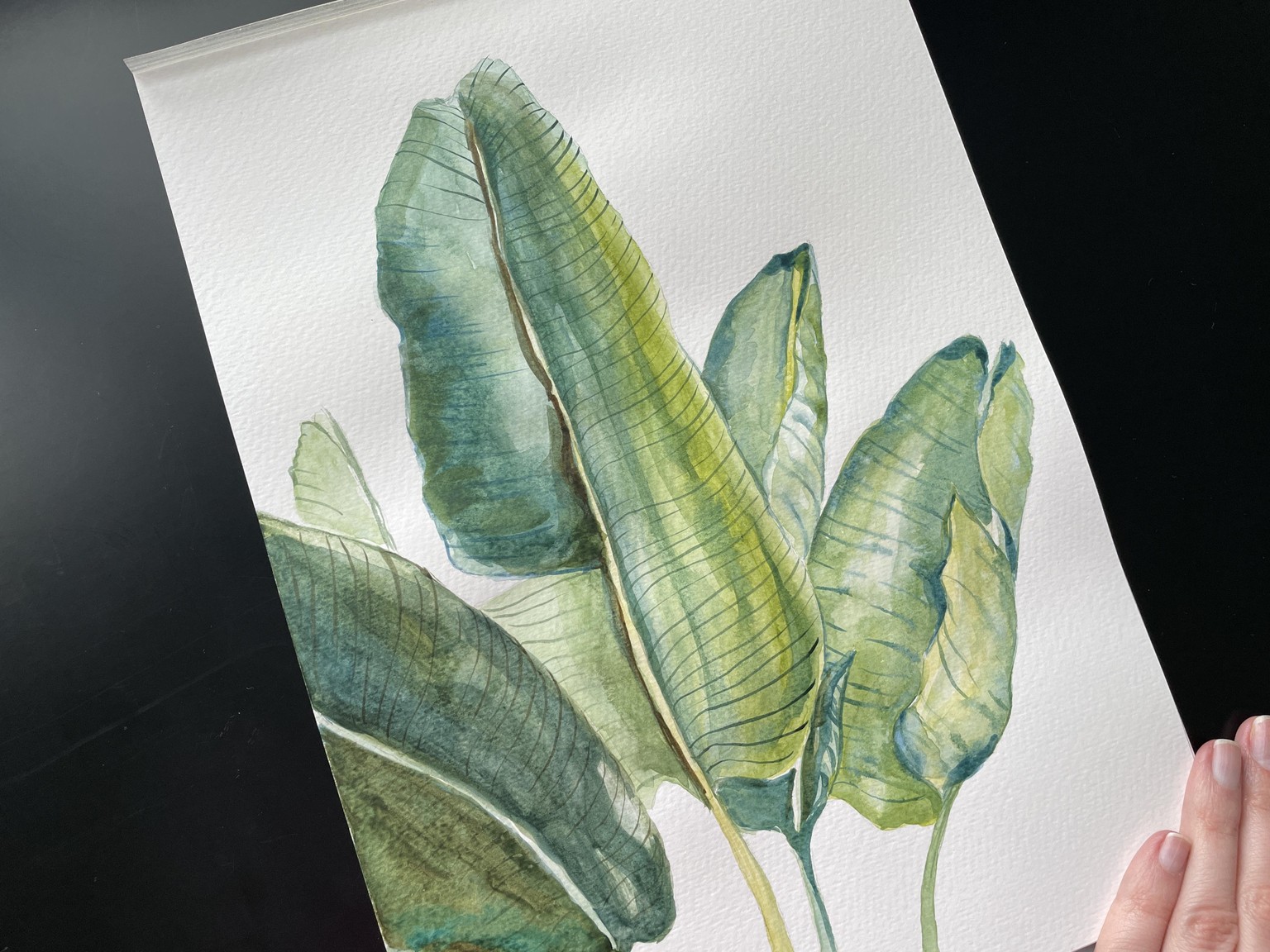 Watercolor greens - image 2 - student project