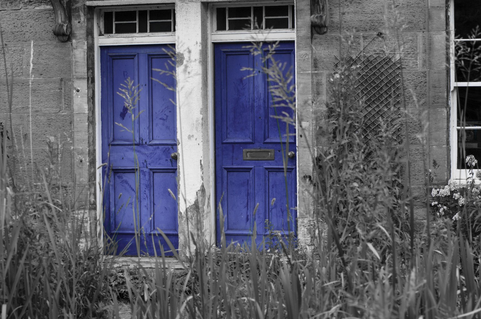 Purple Door - image 1 - student project