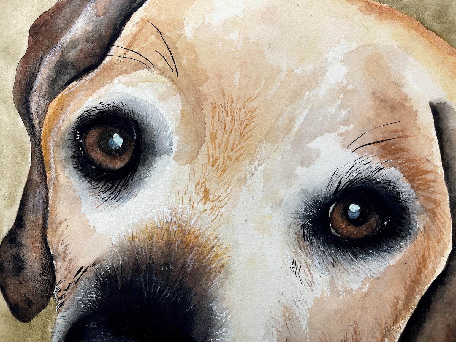 Dougie’s Eyes - image 1 - student project