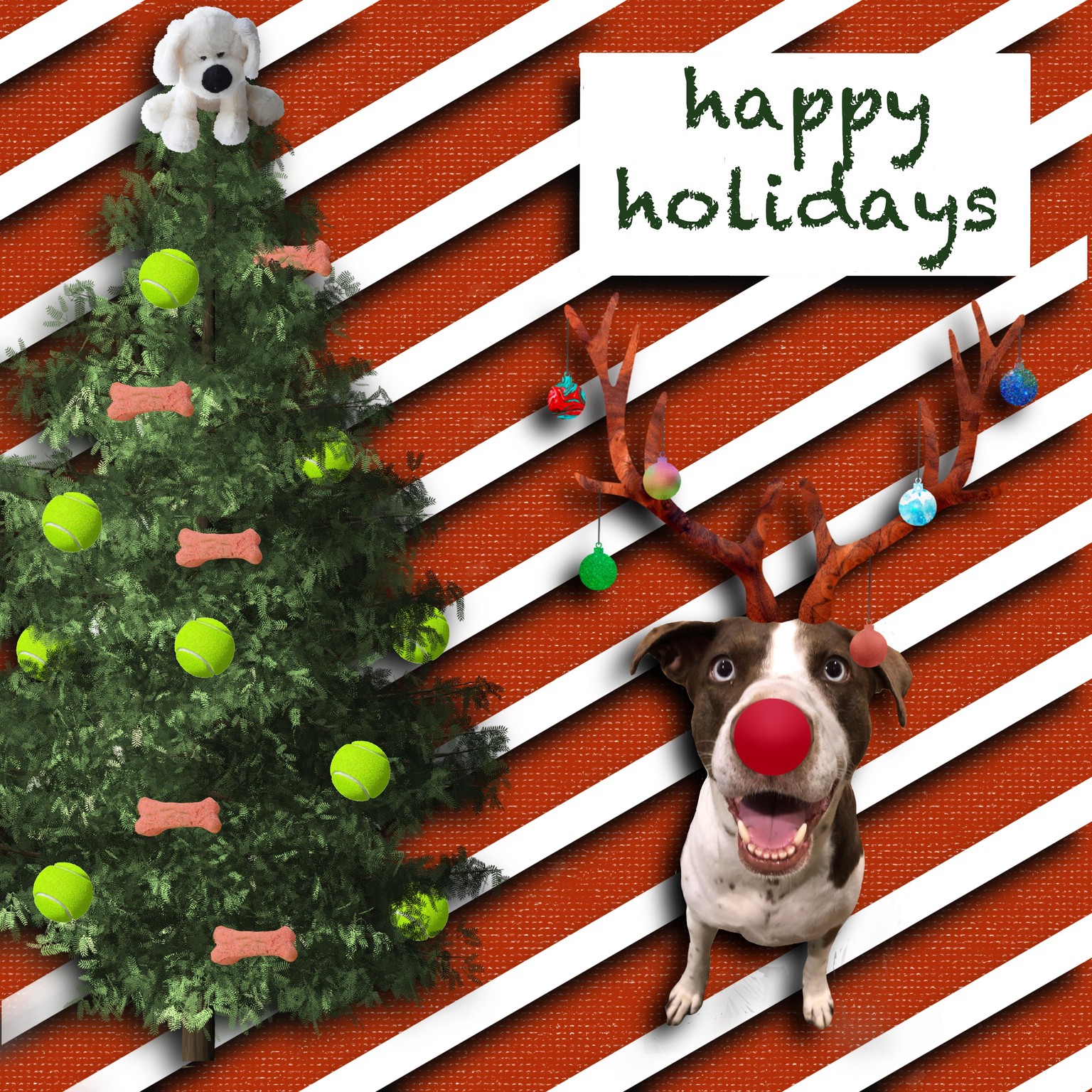 Ethel - Holiday Card - image 1 - student project