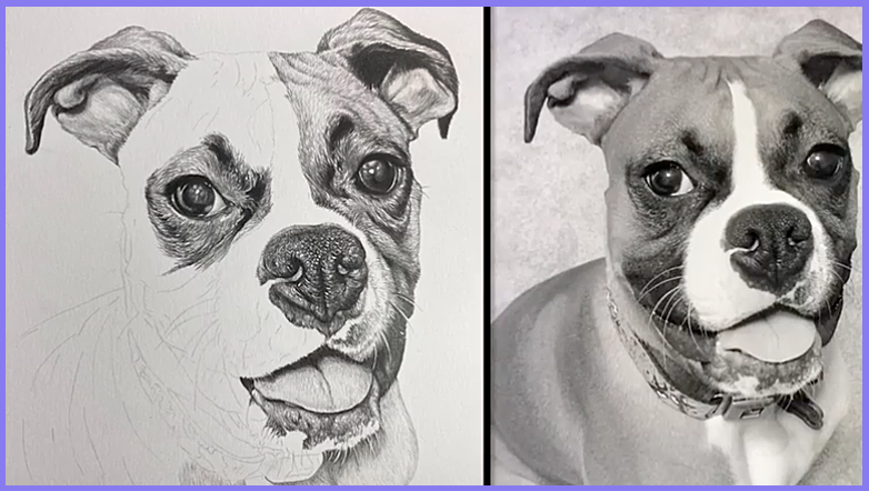 Stages of the Drawing | Share your Works in Progress! - image 8 - student project