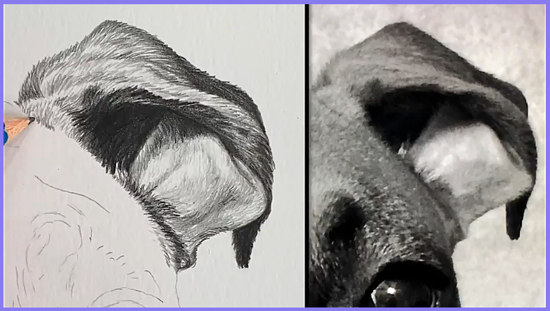 Stages of the Drawing | Share your Works in Progress! - image 1 - student project