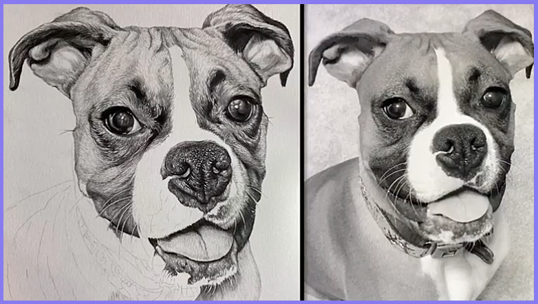 Stages of the Drawing | Share your Works in Progress! - image 9 - student project