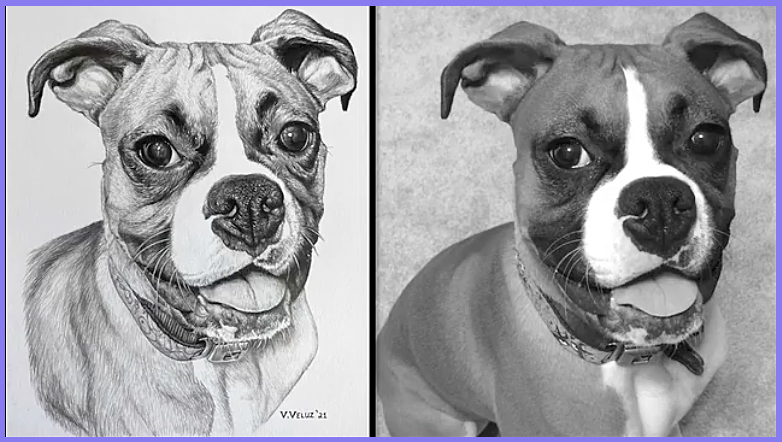 Stages of the Drawing | Share your Works in Progress! - image 10 - student project