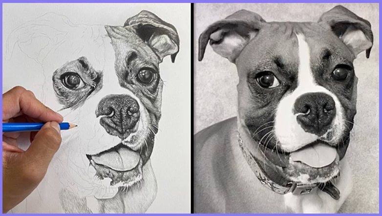 Stages of the Drawing | Share your Works in Progress! - image 7 - student project