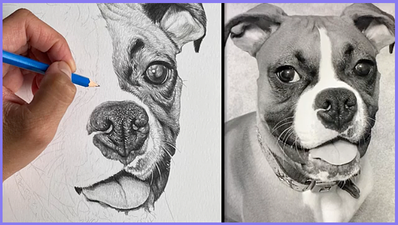 Stages of the Drawing | Share your Works in Progress! - image 5 - student project