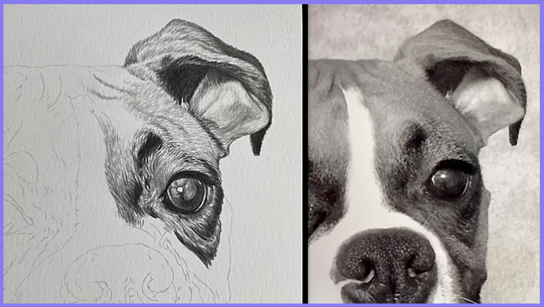 Stages of the Drawing | Share your Works in Progress! - image 2 - student project