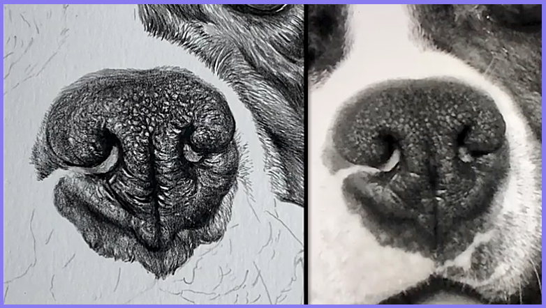 Stages of the Drawing | Share your Works in Progress! - image 4 - student project