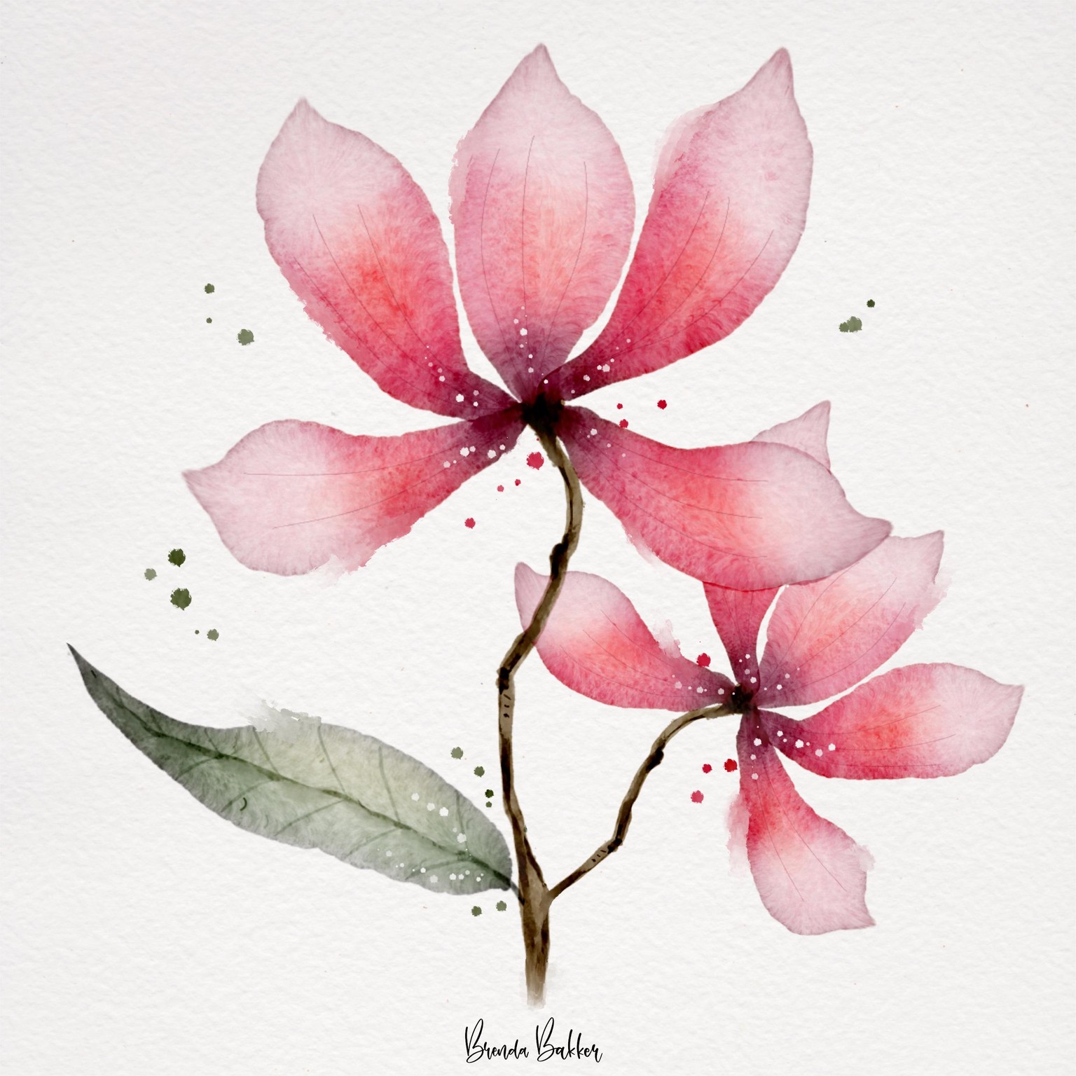 My Botanics for this class - image 3 - student project