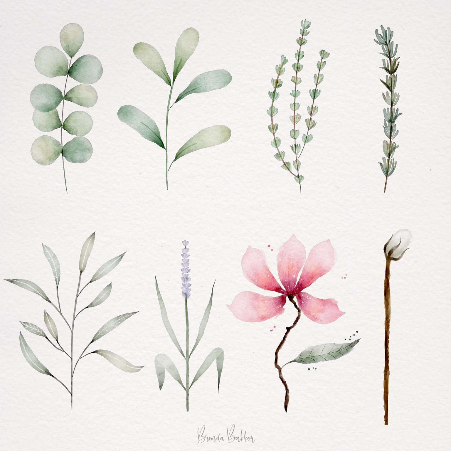 My Botanics for this class - image 1 - student project