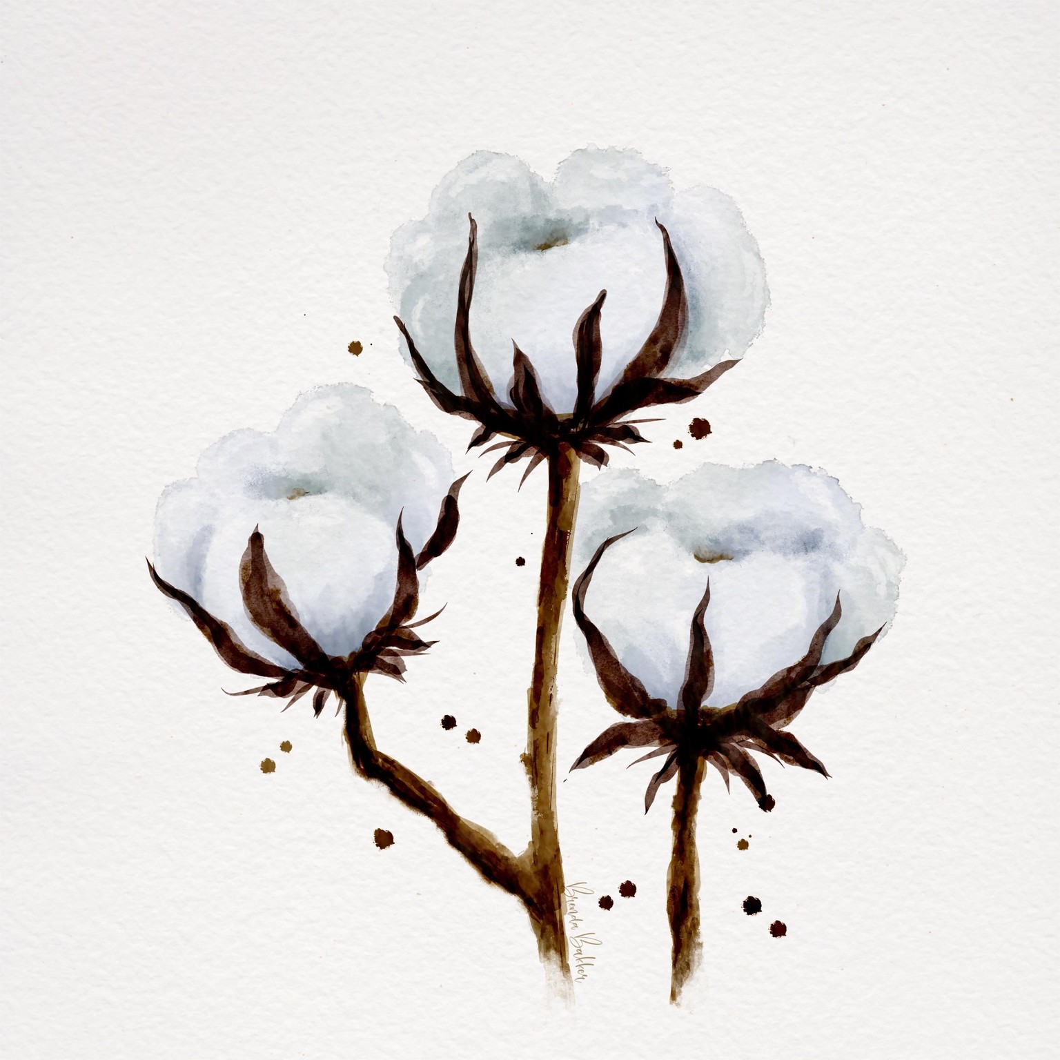 My Botanics for this class - image 5 - student project