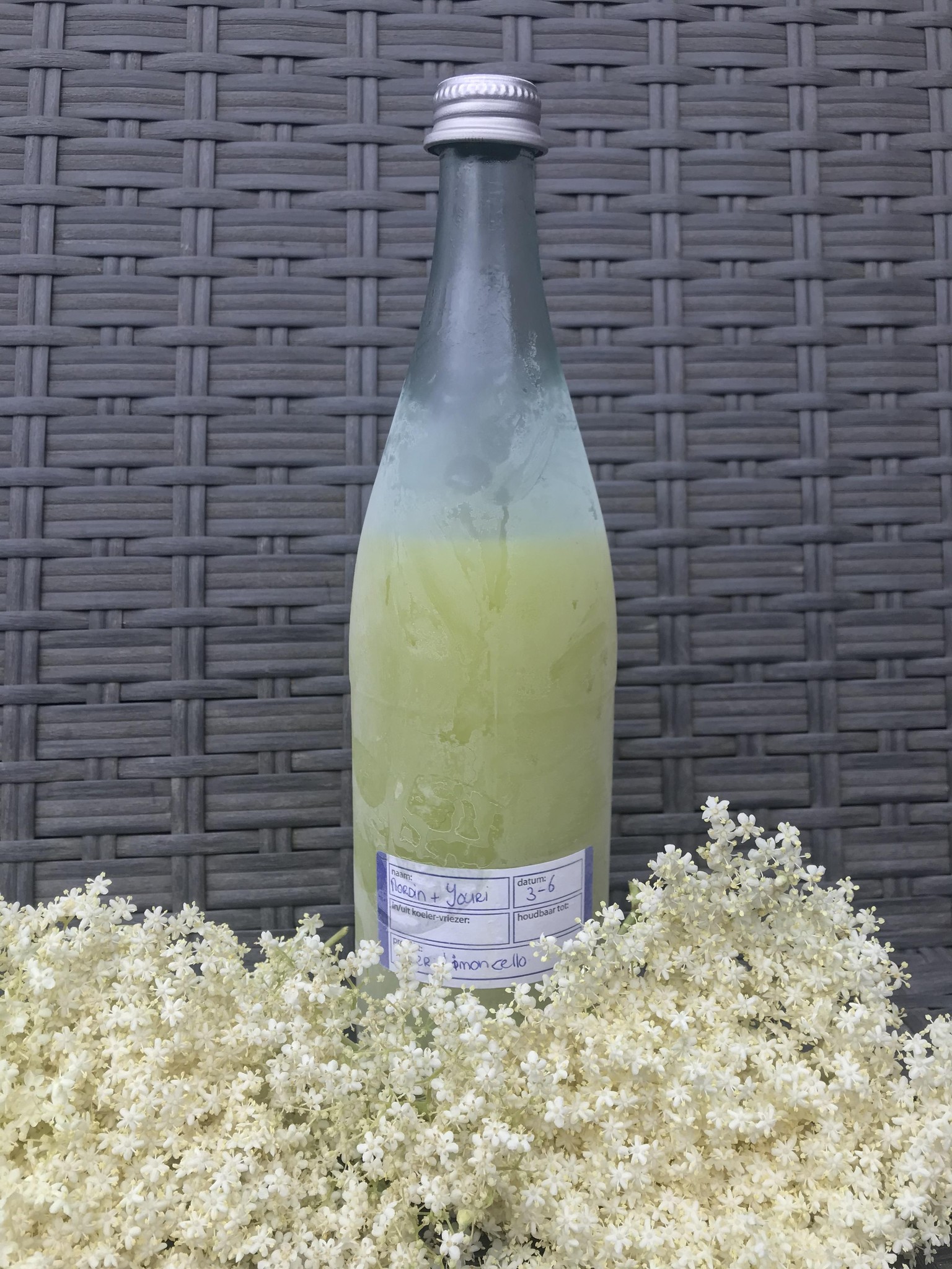 Limoncello - image 2 - student project