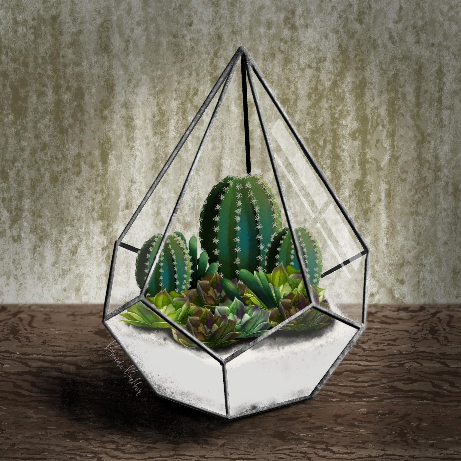 Glass pyramid with cacti and succulents - image 1 - student project