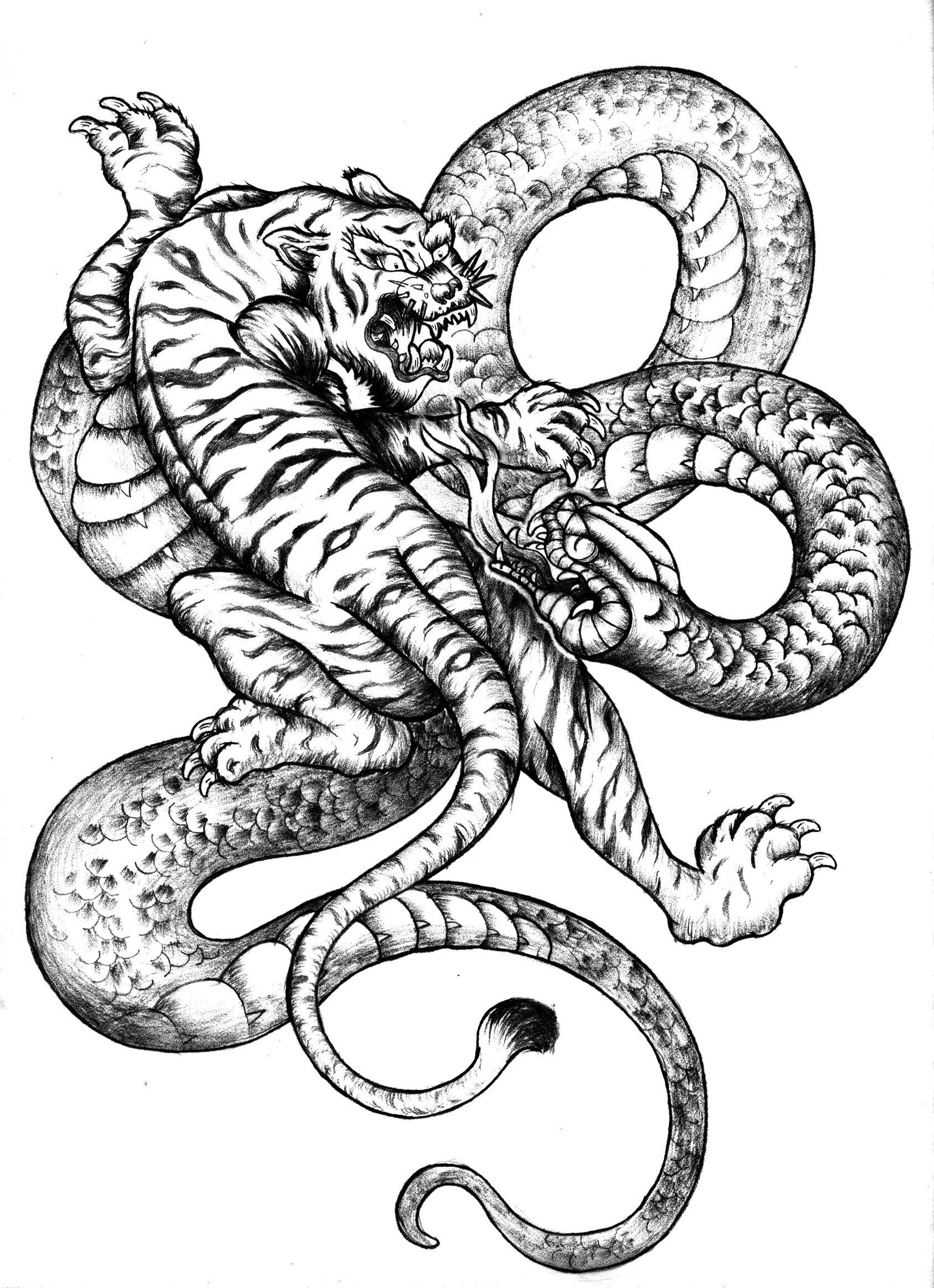 Tiger Snake - image 1 - student project