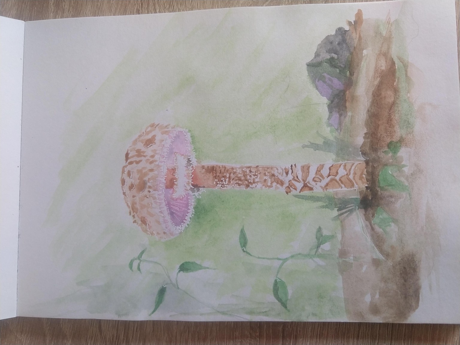 Mushrooms - image 1 - student project