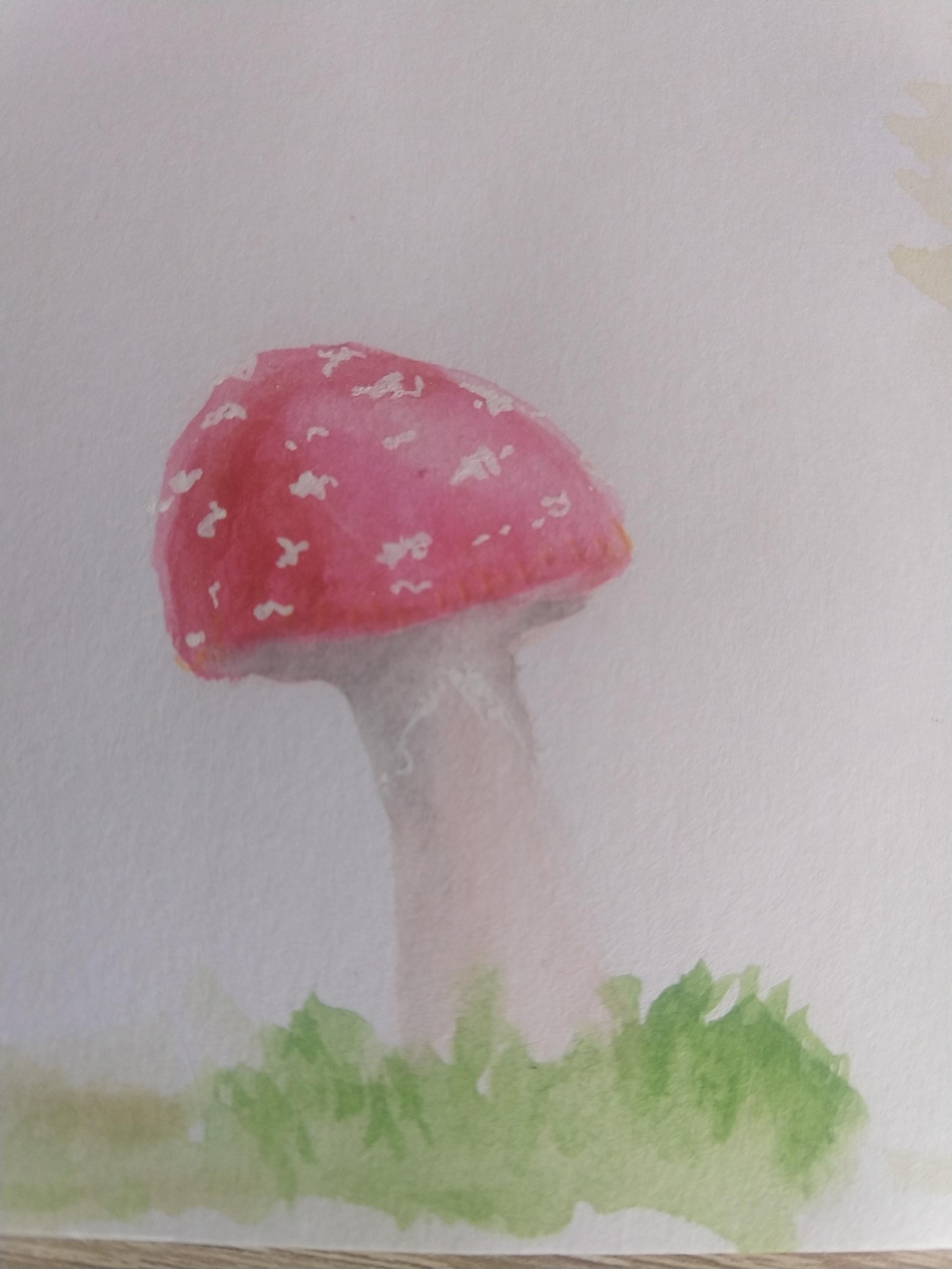 Mushrooms - image 4 - student project