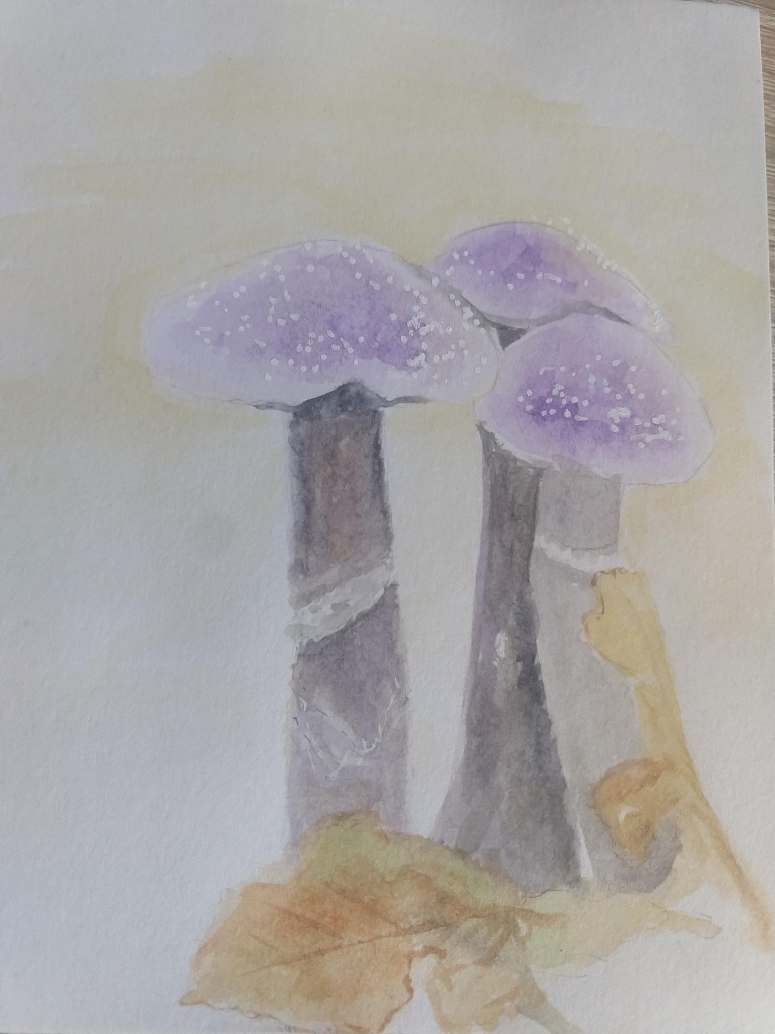 Mushrooms - image 5 - student project